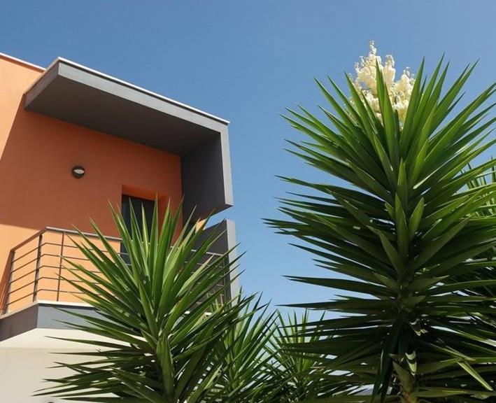 Casa Ceedina Bed And Breakfast & Beauty Batalha Exterior foto